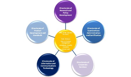 organizational structure